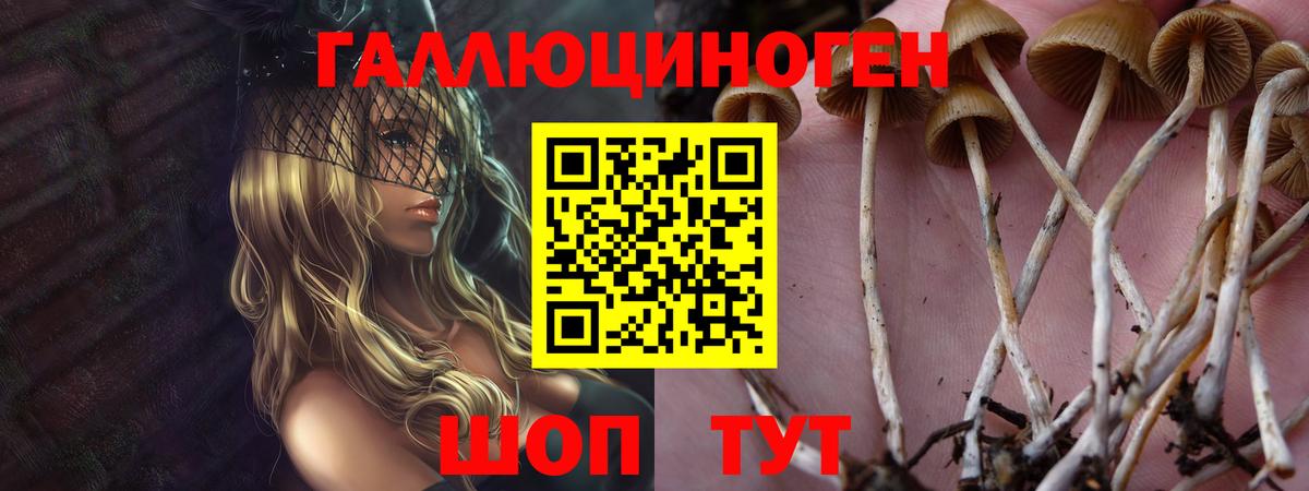 Галлюциногенные грибы мицелий  цены наркотик  Вход с VPN  Реутов  Псилоцибиновые грибы Magic Shrooms 